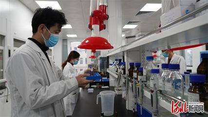 邯鄲市科技特派團賦能生物科技“小巨人” 以創新研發驅動產業大能量