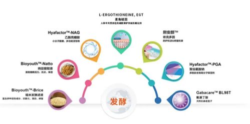 科技深耕潤澤未來，華熙生物憑玻尿酸項(xiàng)目榮摘省級(jí)科技桂冠